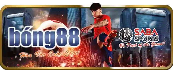 Đá gà Thomo Campuchia tại 789club Android